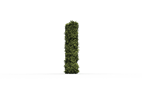 letter i surrounded by grass on transparent background - Download Free Stock Videos Pikwizard.com