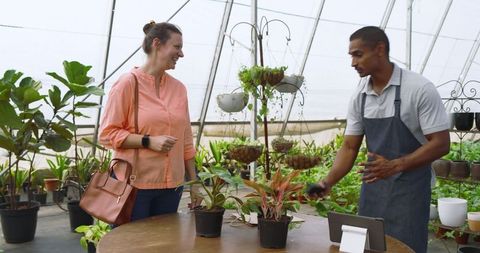 Diverse adults exploring potted plants in greenhouse for learning