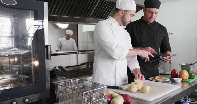 Professional Chefs Preparing Dishes in a Commercial Kitchen - Download Free Stock Images Pikwizard.com