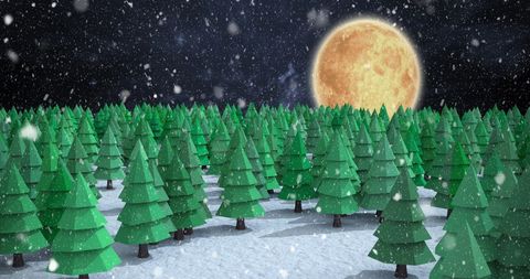 Winter Night Wonderland with Fir Trees and Full Moon