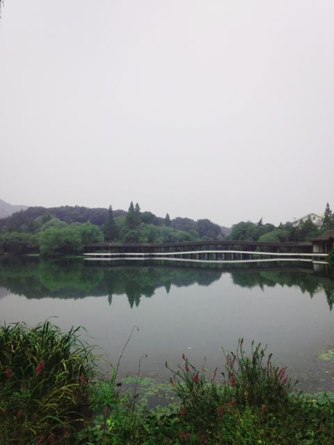 Serene Lake with Wooden Bridge and Lush Greenery - Download Free Stock Photos Pikwizard.com