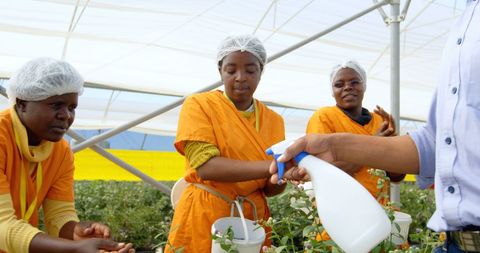 Women Learning Plant Care in Greenhouse Environment