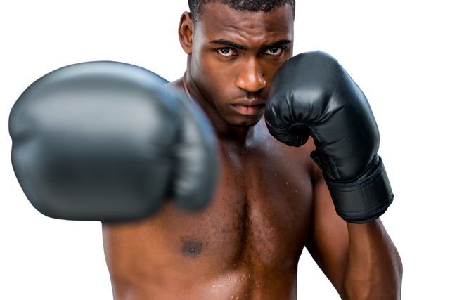 African American Boxer Sparring with Black Gloves on Transparent Background - Download Free Stock Videos Pikwizard.com