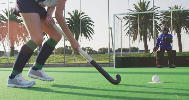 Field Hockey Player About to Strike with Goalie in Background - Download Free Stock Images Pikwizard.com