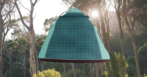 Teal inflatable kayak floating above sunlit pines with lens flare and forest canopy
