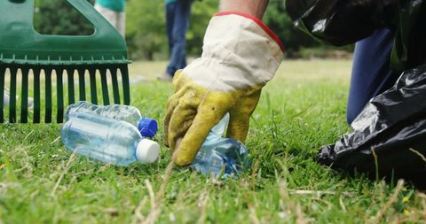 Volunteers Cleaning Park and Collecting Plastic Bottles