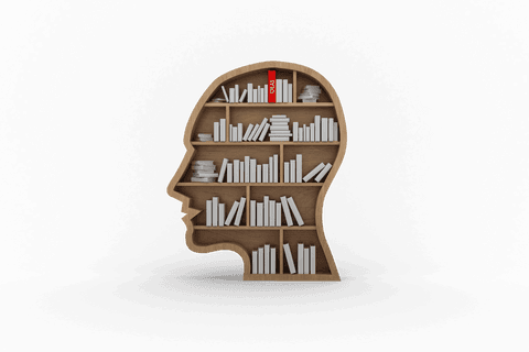 transparent human head shaped bookshelf with books - Download Free Stock Videos Pikwizard.com