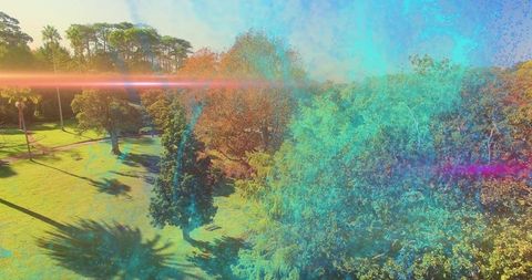 Capturing aerial park canopy with palms, winding footpath and colorful lens flare overlay