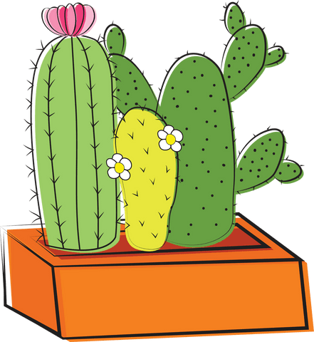 Colorful cacti vector on transparent background