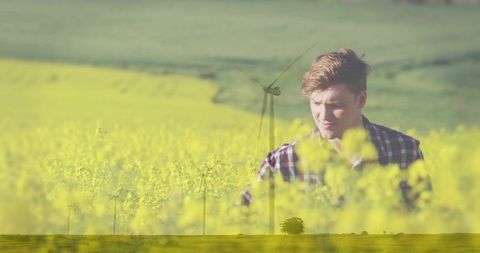 Young man standing in sunlit canola field looking over crops with wind turbines on horizon