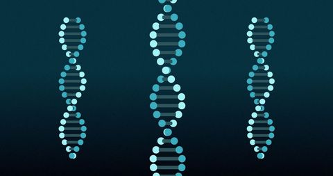 Digital Representation of DNA Strands on Abstract Background - Download Free Stock Images Pikwizard.com