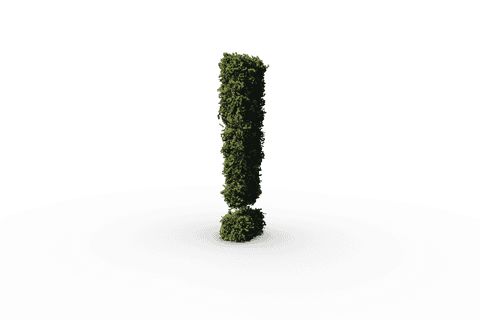 transparent exclamation mark plant design with grass texture - Download Free Stock Videos Pikwizard.com