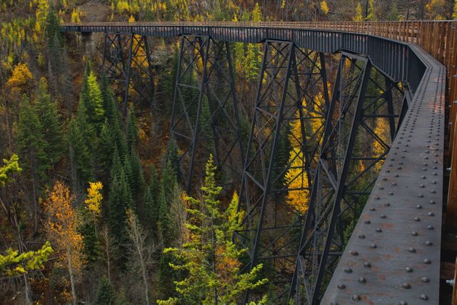 Iron railroad bridge running through dense autumn forest with vibrant fall foliage. Essential for depicting travel, infrastructure, and scenic views. Ideal for projects about transportation, engineering, or seasonal beauty.