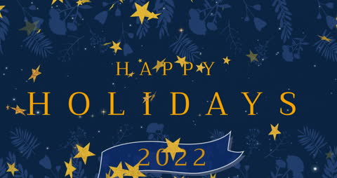 Elegant Happy Holidays Animation with Starry Background