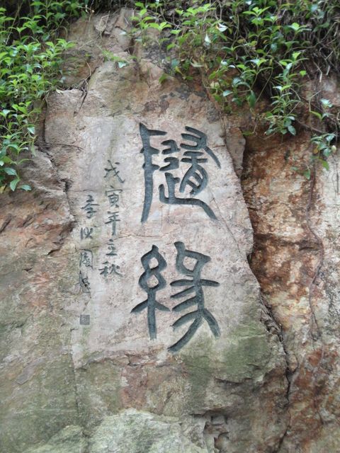 Chinese characters etched onto rock surface; surrounded by natural vegetation. Shows blend of art and nature, ideal for themes involving Asian culture, traditional art, natural beauty, or historical sites.