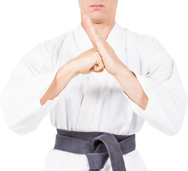 Martial Artist Performing Karate Salute Transparent Background - Download Free Stock Videos Pikwizard.com