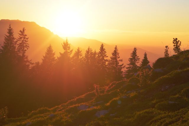 Golden Sunrise Over Mountain Forest with Sun Rays - Download Free Stock Images Pikwizard.com