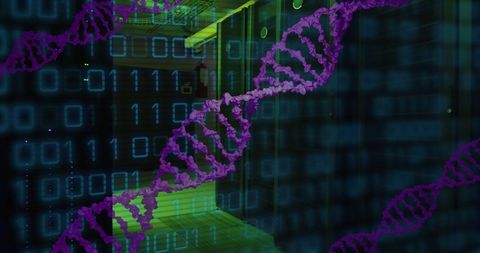 DNA Strand Overlaying Data Server with Binary Code - Download Free Stock Images Pikwizard.com