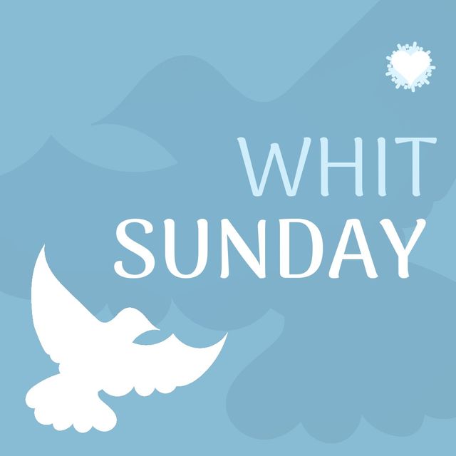 Image of a white dove and Whit Sunday text on a blue background. Useful for cards, social media posts, website banners, or church bulletins promoting Whit Sunday celebrations. Visual emphasizes peace, faith, and spirituality associated with the Christian holiday.