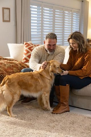 Senior couple petting golden retriever on sofa in cozy warm living room