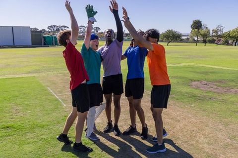 Young cricketers celebrating high-five huddle on sunlit grass pitch, teamwork and victory