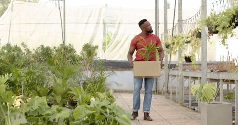 Horticulturist in Greenhouse Transporting Potted Plant Sustainably