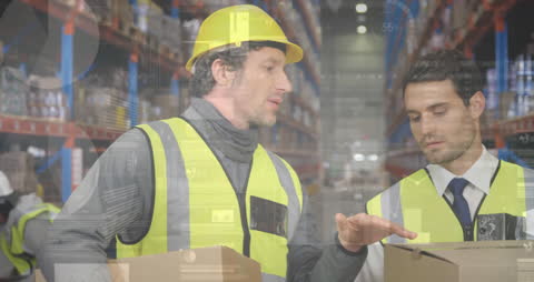 Warehouse Workers Analyzing Digital Data in Logistics Facility
