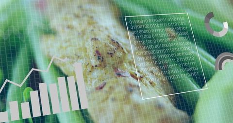 Digital Interface Merging Culinary Elements and Data Visualization