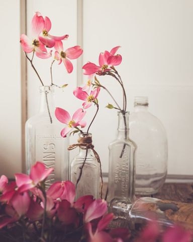 Pink Flowers in Vintage Glass Bottles on Rustic Wooden Surface