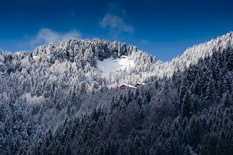Snow-Covered Mountain Forest with Rustic Cabins