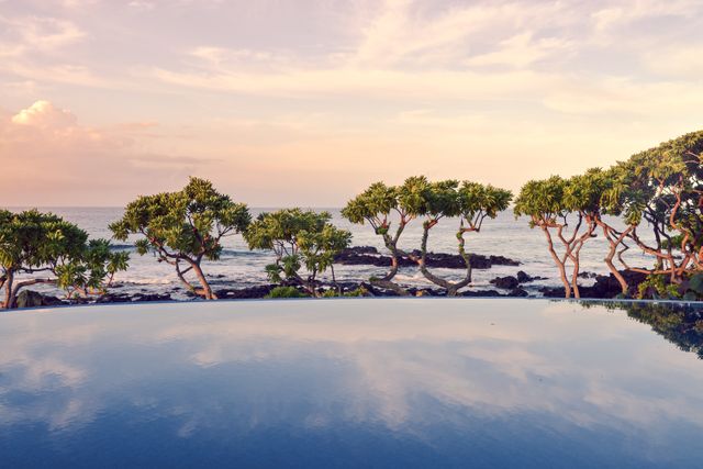 Tropical Ocean Infinity Pool at Sunset with Tree Reflection - Download Free Stock Photos Pikwizard.com