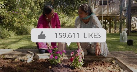 Kneeling indian women planting bright pink flowers in sunlit backyard garden