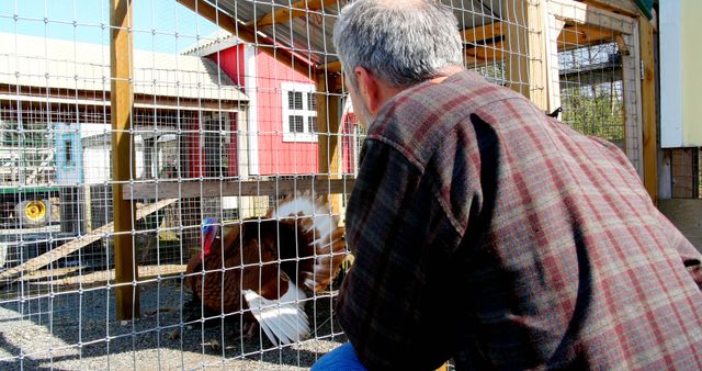 Senior man in plaid shirt observes turkey through wire fence on farm. Rural setting with agricultural buildings in background. Ideal for themes related to farming, animal husbandry, rural lifestyle, or elderly activities.