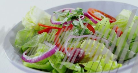 Colorful Fresh Garden Salad with Lettuce and Tomato
