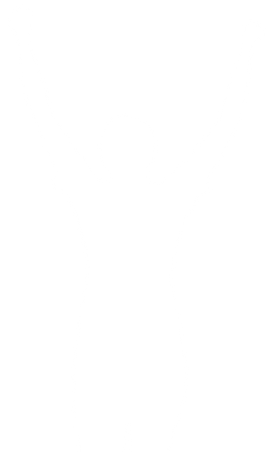 Celebrating Woman Silhouette with Raised Arms Transparent Vector PNG - Download Free Stock Videos Pikwizard.com