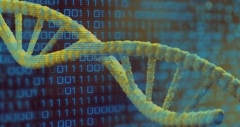 dna strand with digital binary code background - Download Free Stock Images Pikwizard.com