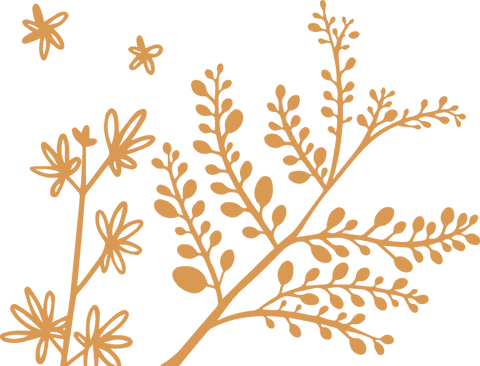 botanical plant motif on transparent background for decor - Download Free Stock Videos Pikwizard.com