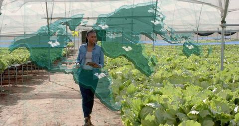 Woman Researcher with Tablet Walking in High-Tech Greenhouse Farm
