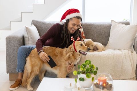 Man wearing santa hat petting golden retriever and puppy on sofa celebrating cozy holidays