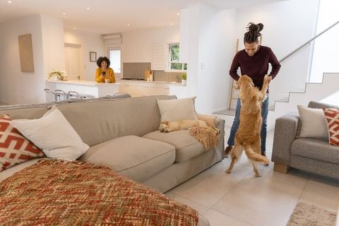 African american couple playing with golden retriever in modern open-plan living room