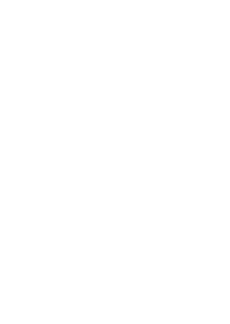 Transparent Silhouette Female Standing with Raised Arms in Triumphant Pose - Download Free Stock Videos Pikwizard.com