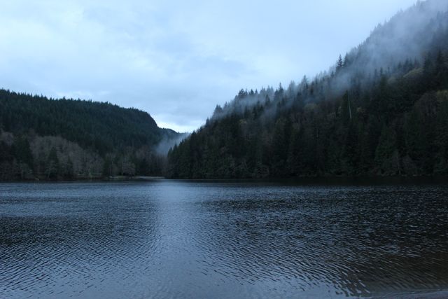 Serene Mountain Lake with Fog Rolling Through Pine Forest at Dusk - Download Free Stock Photos Pikwizard.com