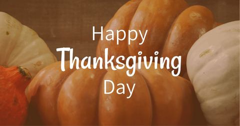 Festive Thanksgiving Day Greeting with Pumpkins