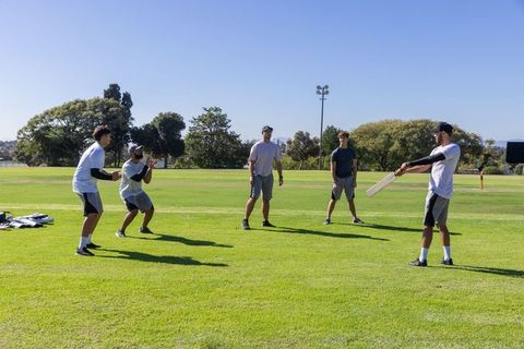 Diverse men practicing cricket on sunny field playing batting and catching with teammates