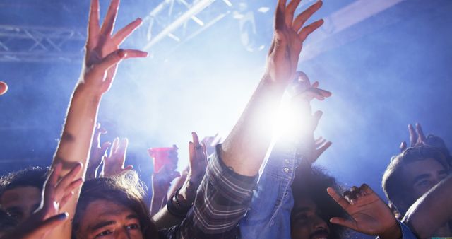 Energetic Crowd Partying at Concert with Hands in Air - Download Free Stock Images Pikwizard.com