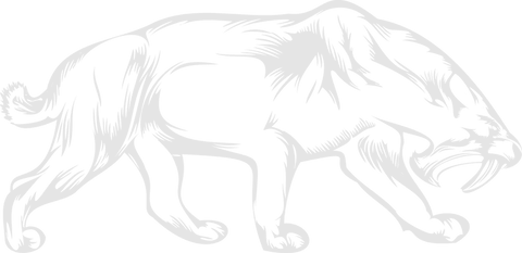 Transparent brushstroke art of sabertooth cat illustration