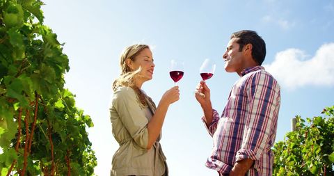 Couple Enjoying Wine Tasting Experience Outdoors in Vineyard - Download Free Stock Images Pikwizard.com