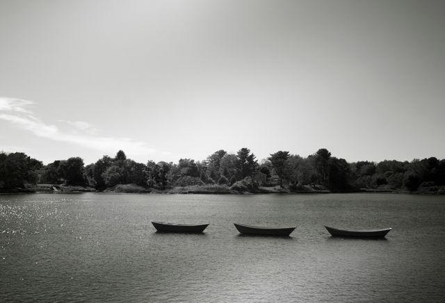 Three rowboats floating on calm lake during sunrise with trees and horizon in background, photographed in black and white. Ideal for use in projects focused on nature, tranquility, outdoors, and peacefulness. Suitable for art prints, home decor, travel promotion, and calming environments.