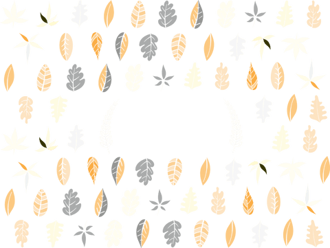 colorful transparent leaves in artistic layout frame - Download Free Stock Videos Pikwizard.com