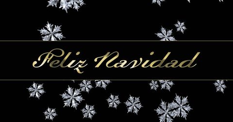 Elegant Feliz Navidad Greeting with Snowflakes and Black Background